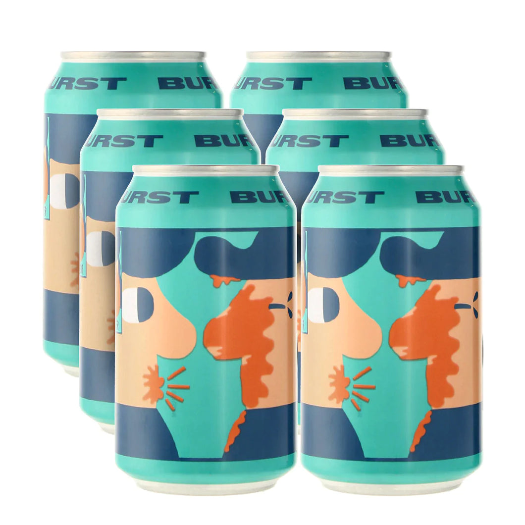 Mikkeller - Burst 6 pack